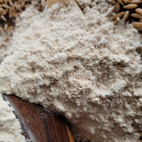 Emmer Wheat (Khapli)Flour