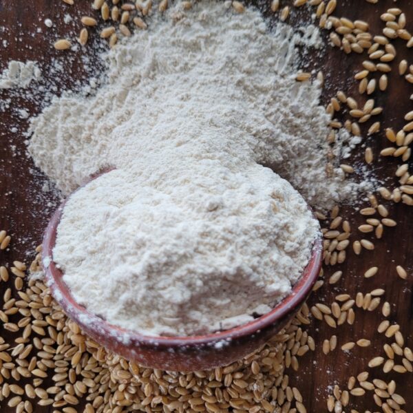 Whole Wheat Flour