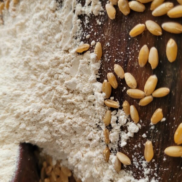 Whole Wheat Flour - Image 3