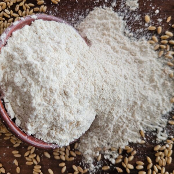 Whole Wheat Flour - Image 2